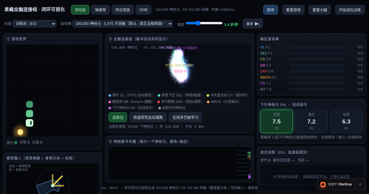 Preview of 果蝇全脑连接组 · 贪吃蛇 —— 提取 / 训练 / 可视化